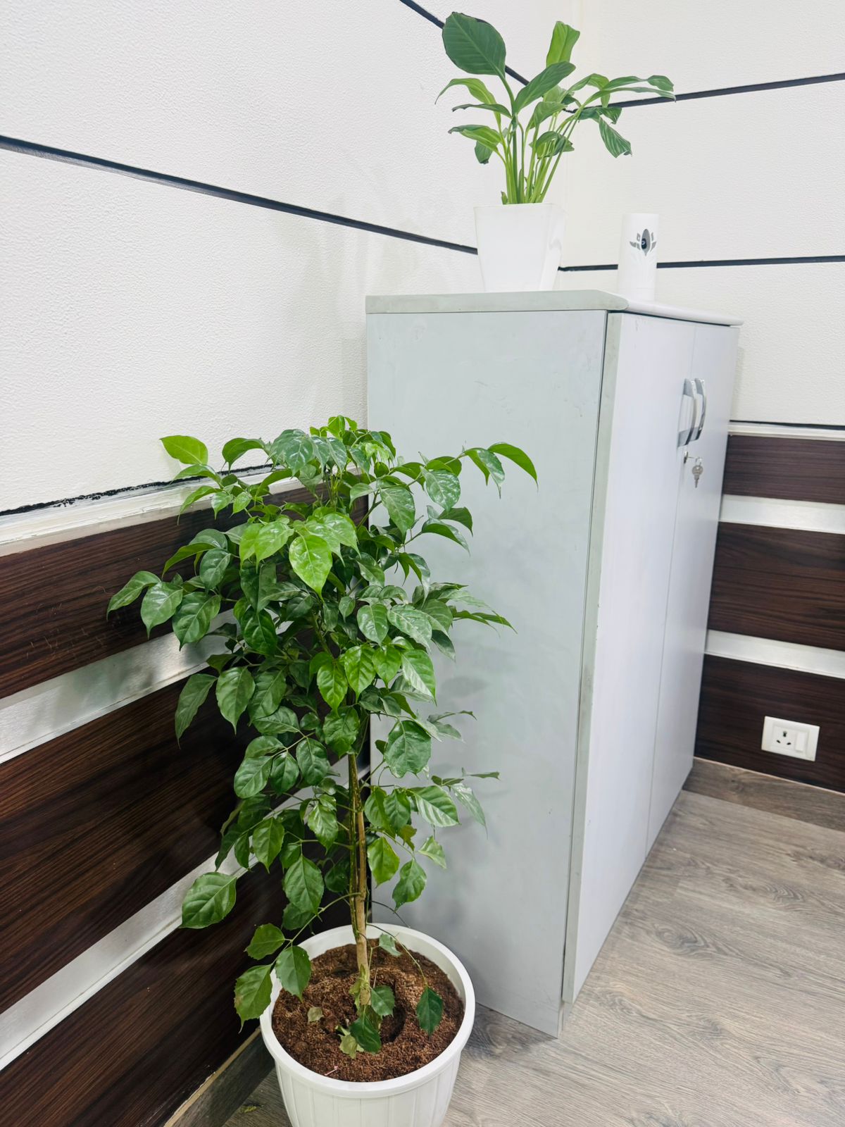 Office Reception
