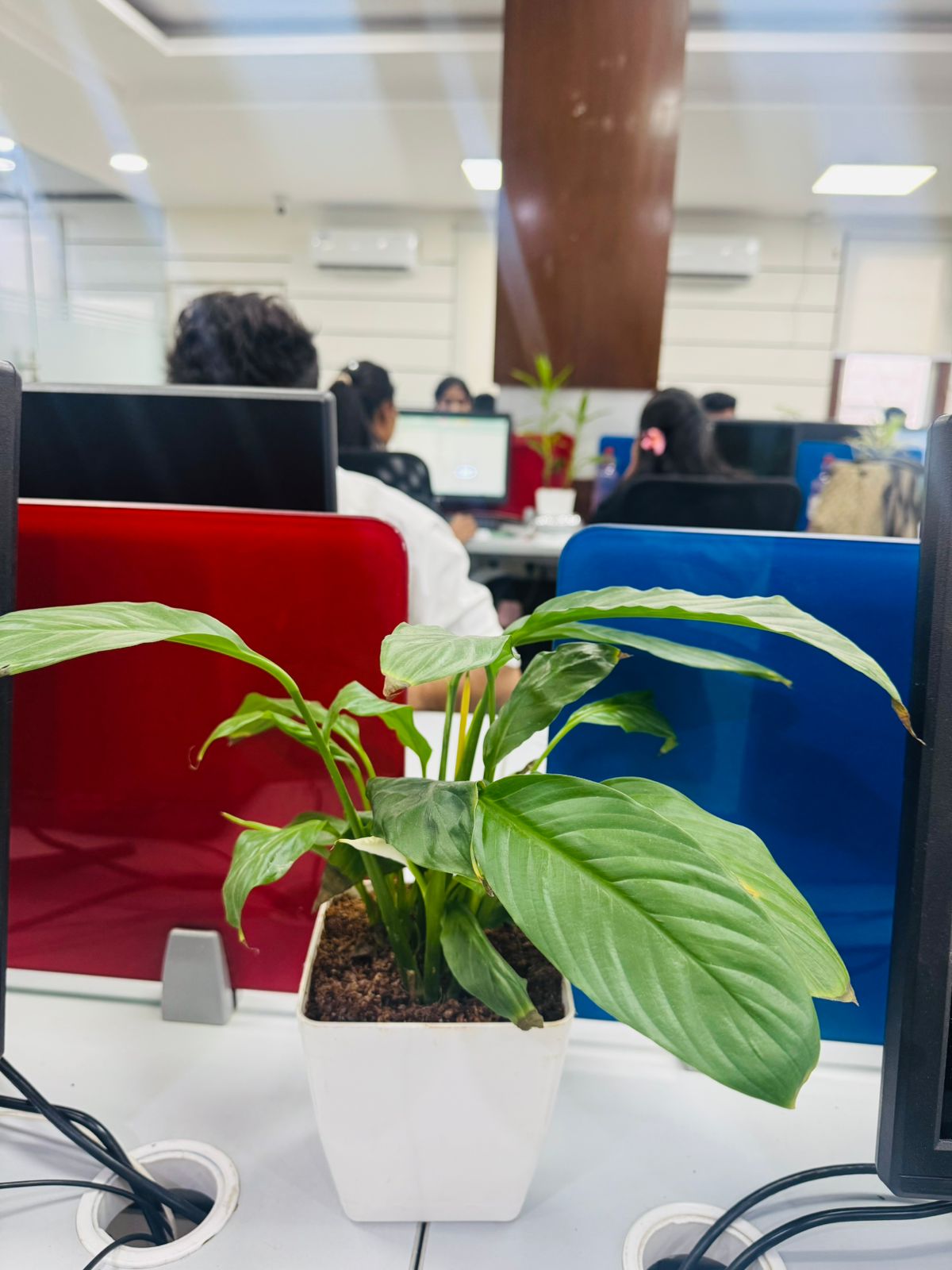 Office Workspace